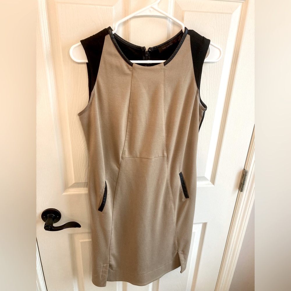 The Limited Stretch Dress.